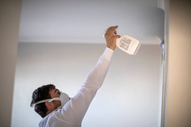 Best Crawl Space Mold Removal  in Monte Alto, TX