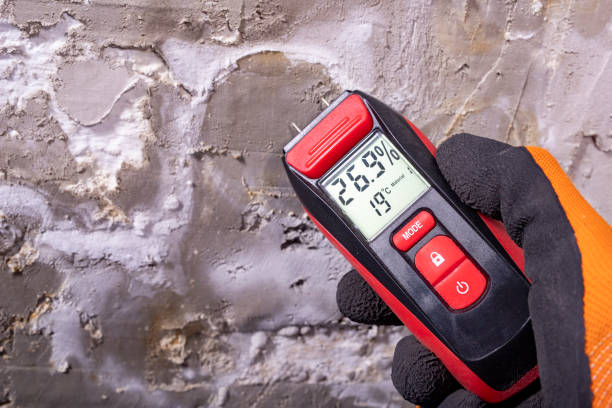 Best Office Mold Removal Services  in Monte Alto, TX