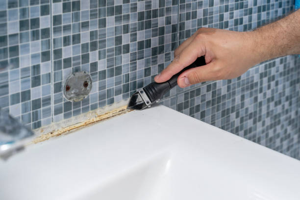 Best Mold Testing  in Monte Alto, TX
